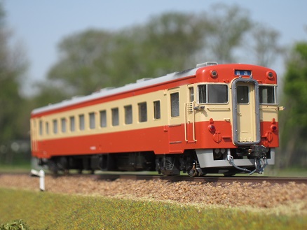 �L�n�Q�S���H���h����